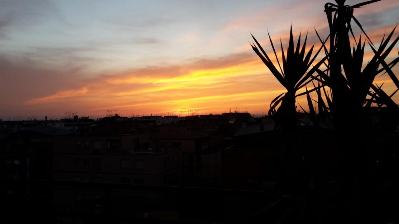 Apartment Appartamento Con Terrazza Vicino Gemelli E Vaticano *
